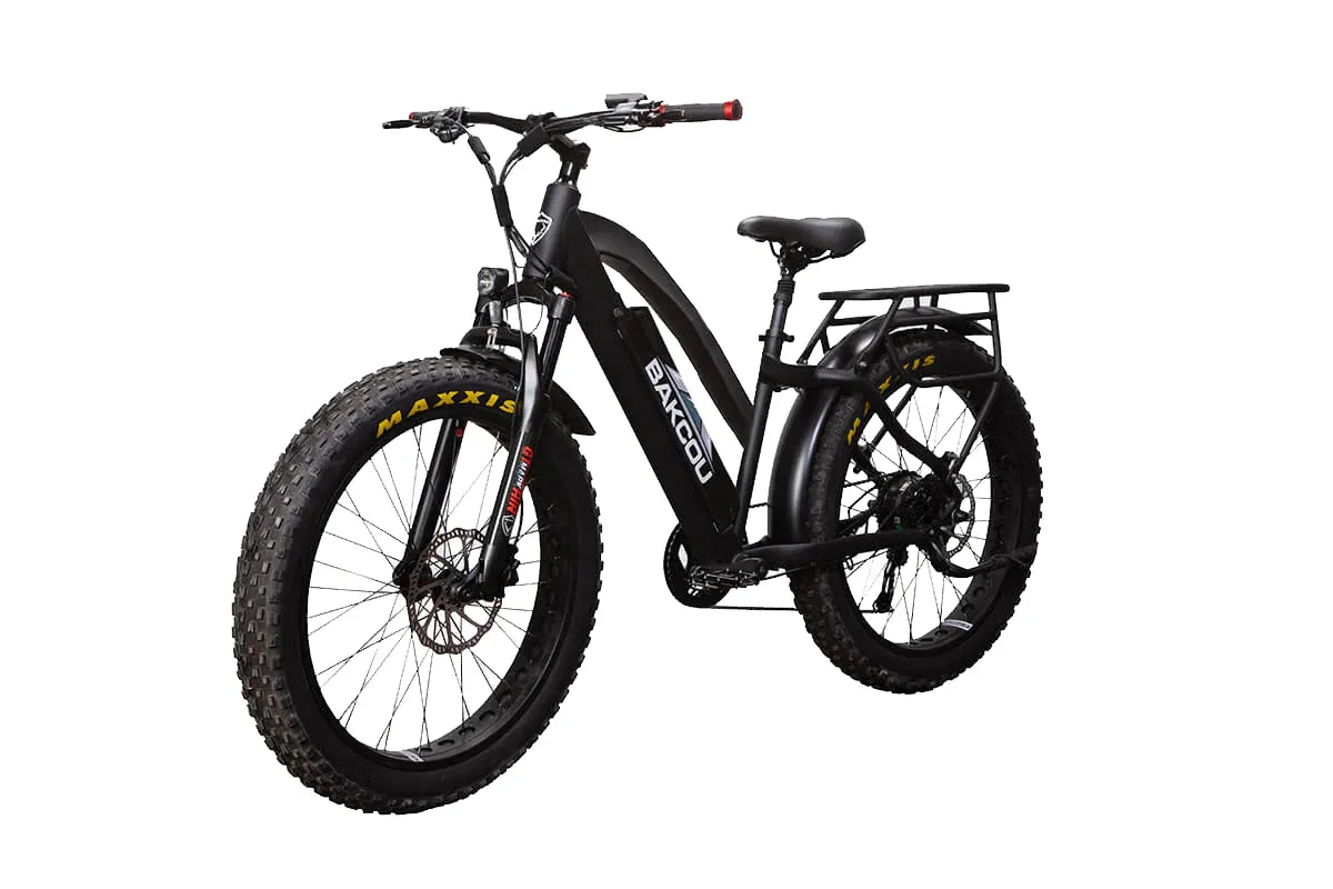 Bakcou Flatlander ST 24 E-Bike For Sale In San Antonio, TX