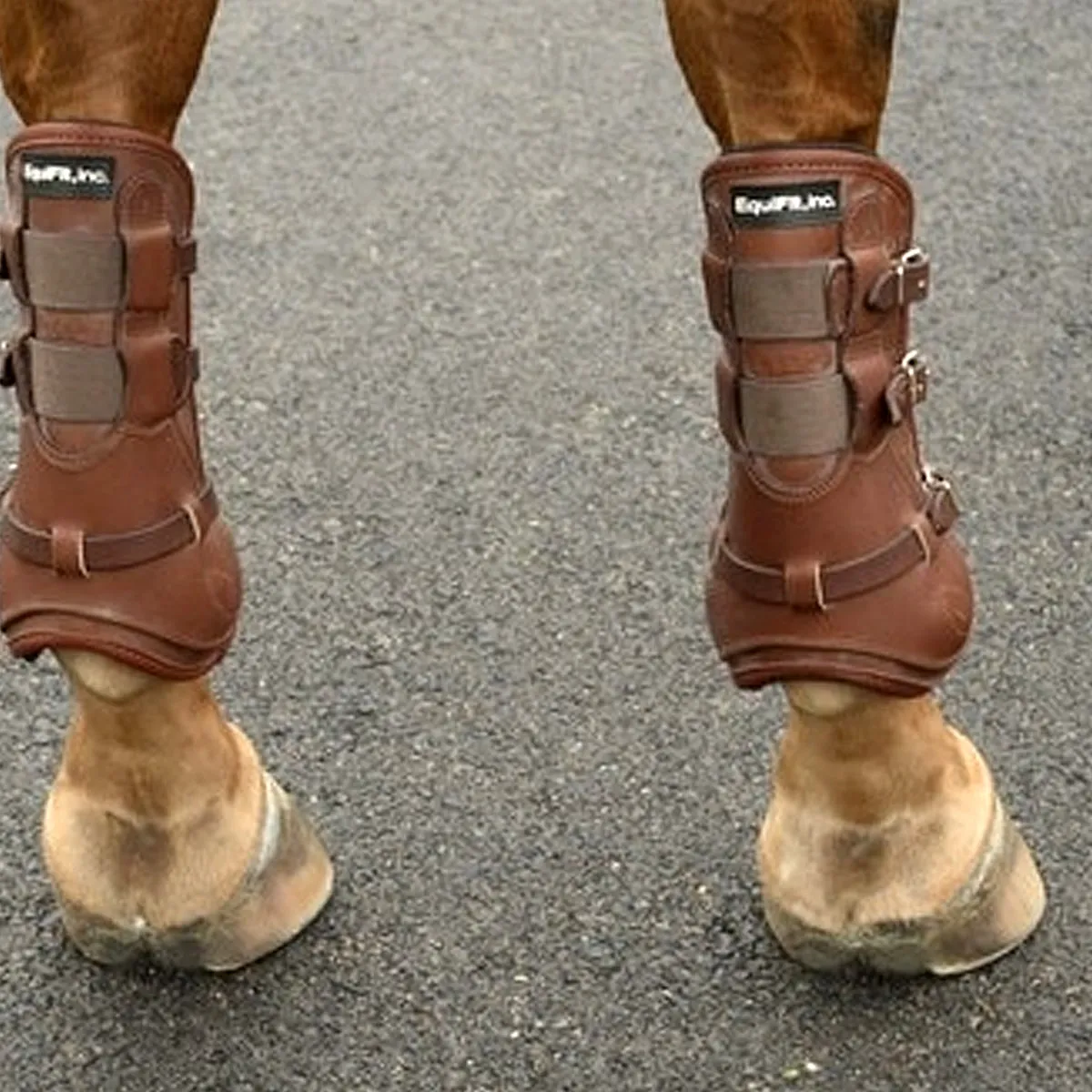 EquiFit Luxe Front T-Boot